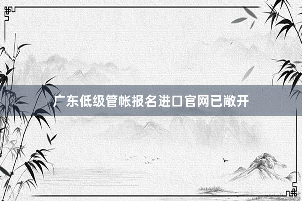 广东低级管帐报名进口官网已敞开