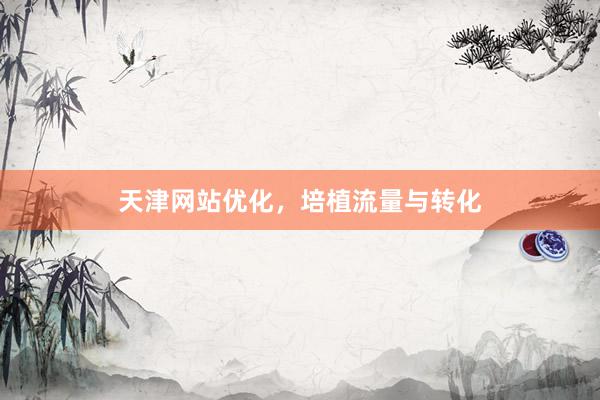 天津网站优化，培植流量与转化