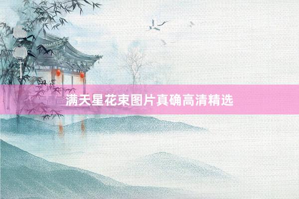 满天星花束图片真确高清精选